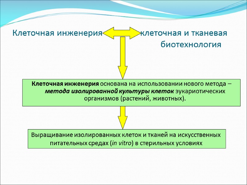 Клеточная инженерия            